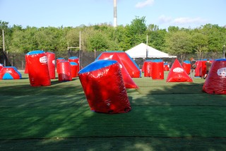 Genesis Field Photo