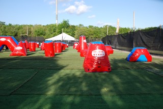 Genesis Field Photo